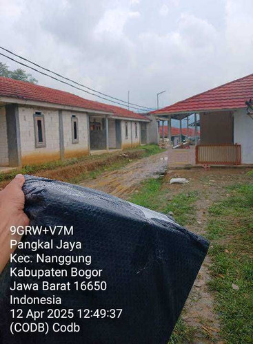 codb.jpg