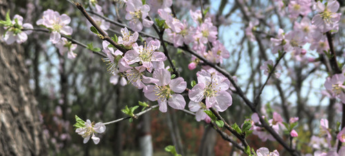 IMG 20250322 114049.jpg