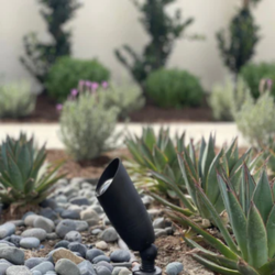 Tulay Black Brass Spotlight.png