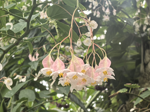 IMG 20250412 122427.jpg