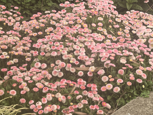 IMG 20250412 143731.jpg