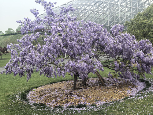 IMG 20250412 131330.jpg