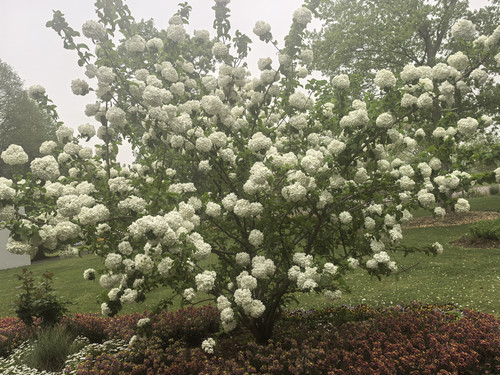 IMG 20250412 144831.jpg