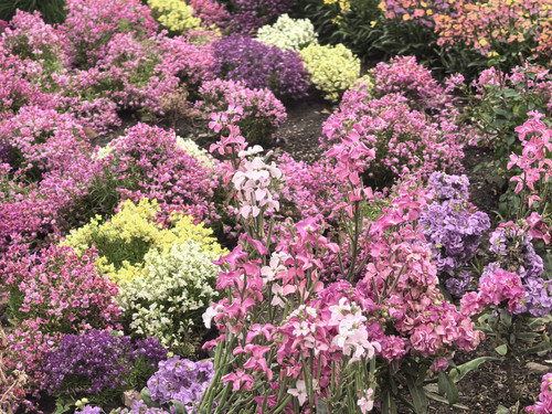 IMG 20250412 131948.jpg