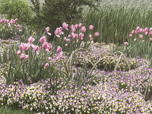 IMG 20250412 142903.jpg