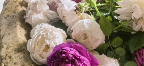 IMG 20250411 192137.jpg