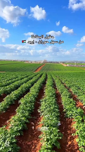 ijm f7EyzwwD7dZx.jpg