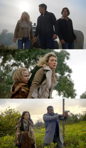 InCollage 20250414 090701183.jpg