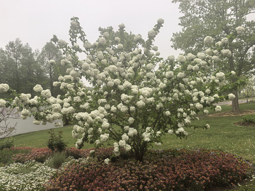 IMG 20250412 144834.jpg