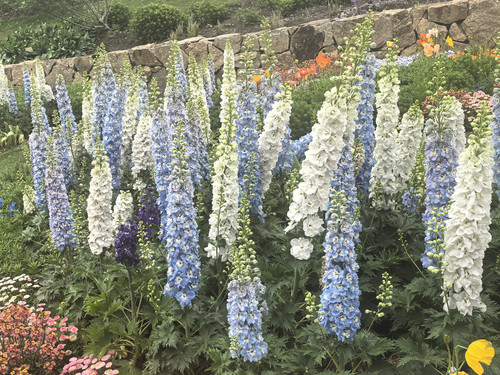 IMG 20250412 145619.jpg