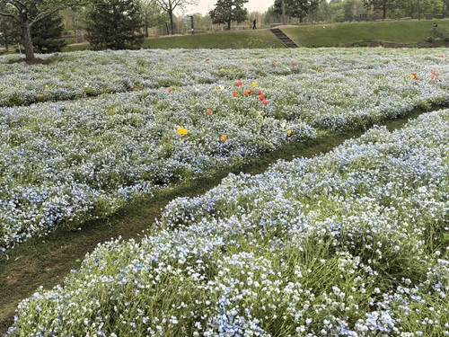 IMG 20250412 154832.jpg