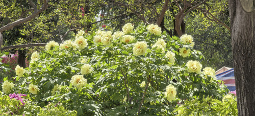 IMG 20250413 140547.jpg