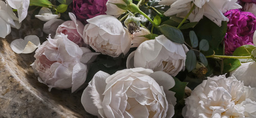 retouch 2025041119044923.jpg