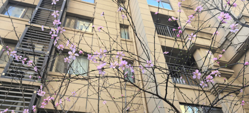 IMG 20250316 161223.jpg