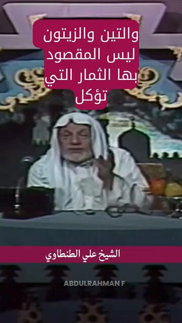 MGsE 7s5A1iCp0P1.jpg