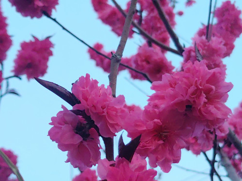 PicsArt 04 14 11.26.58.jpg