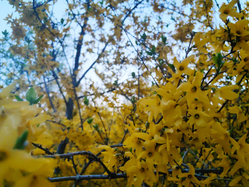 PicsArt 04 14 11.26.22.jpg