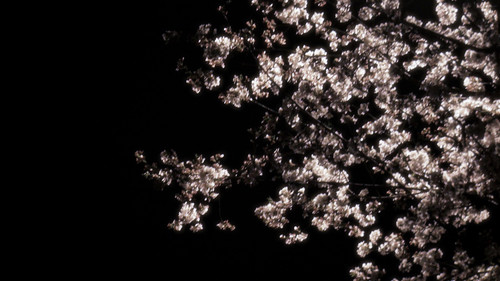 IMG 20250329 152103.jpg