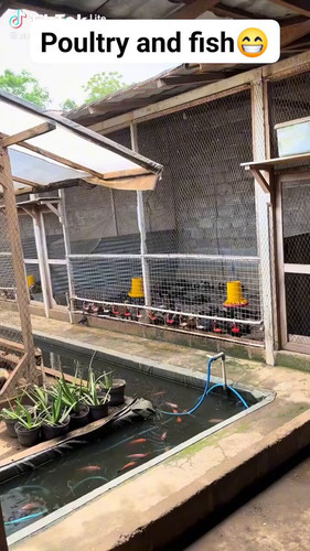 hDGDBtMPKv EkAWa.jpg