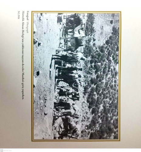  5807722818979347834 121.jpg