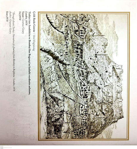  5807722818979347822 121.jpg