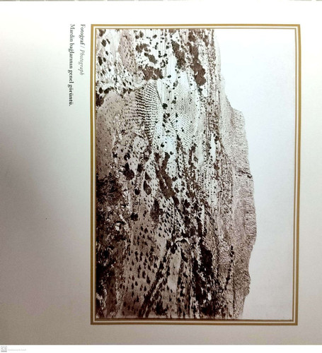  5807722818979347860 121.jpg