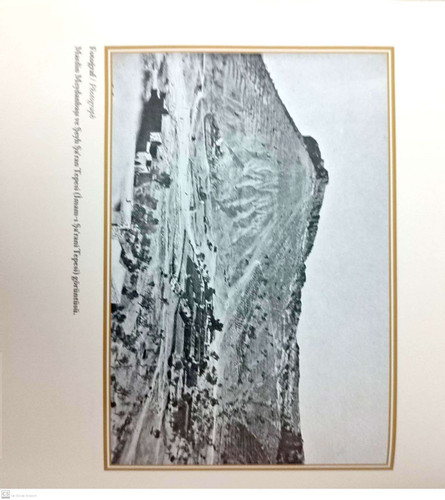  5807722818979347888 121.jpg