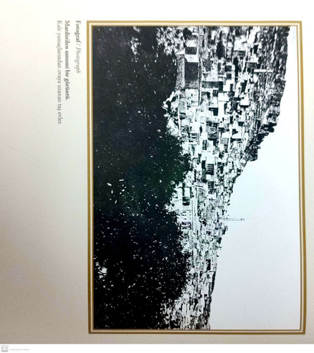  5807722818979347896 121.jpg