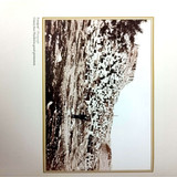  5807722818979347859 121