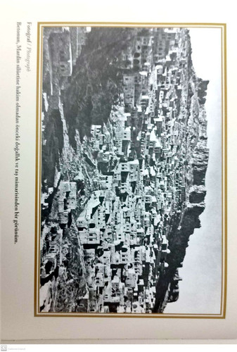  5807722818979347885 121.jpg