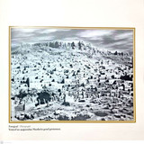  5807722818979347861 121