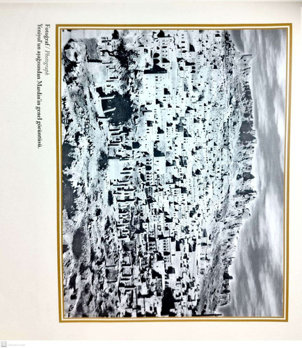  5807722818979347853 121.jpg