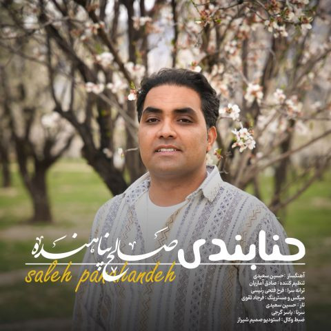 دانلود آهنگ صالح پناهنده به نام حنابندی