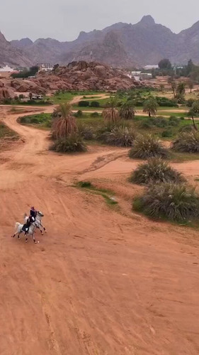 JWHSku 60bkdj8aT.jpg