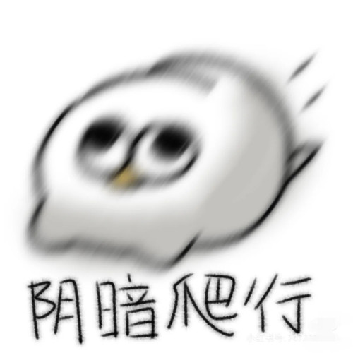 IMG 20250414 131715.jpg