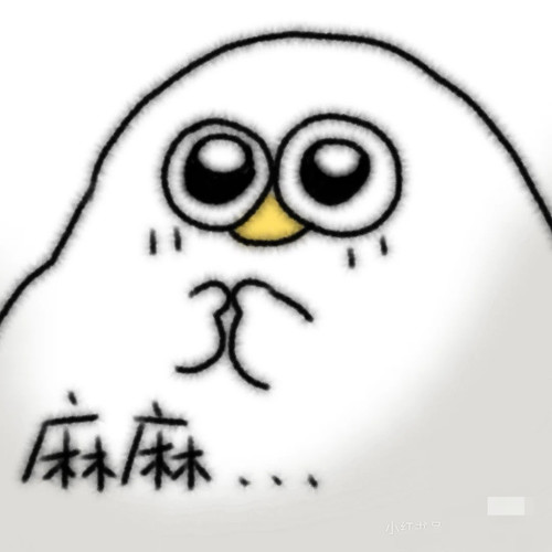 IMG 20250414 131737.jpg