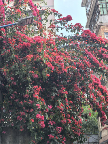 IMG 20250314 153700.jpg