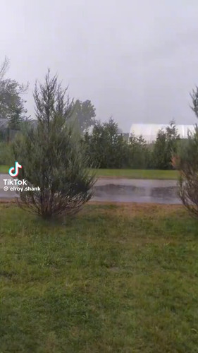 txBlu0cGobdvES w.jpg