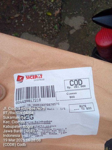 64459203 f34b 476a 83d2 3f395543a032.jpg