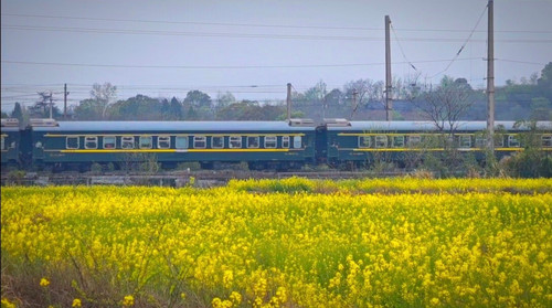 Screenshot 2025 04 14 11 49 50 062 com.miui.gallery edit.jpg