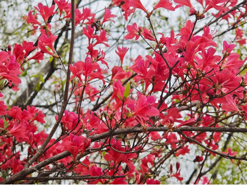 Screenshot 2025 04 14 11 53 19 734 com.miui.gallery edit.jpg