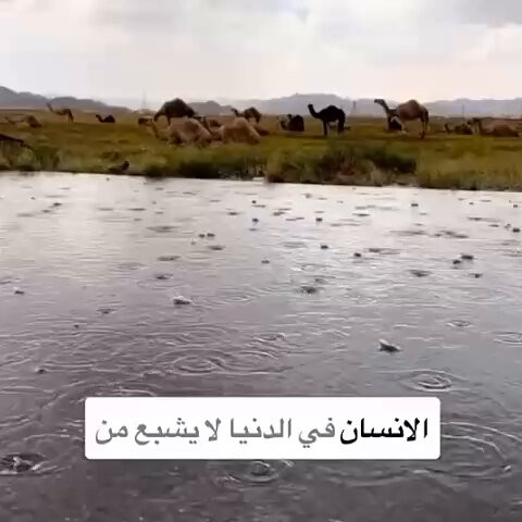 hVVk n1 Oak9Bo2z.jpg