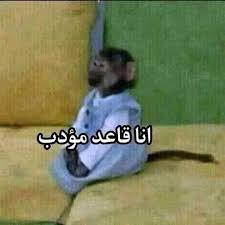تنزيل (89).jpg