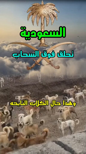 3lIut9voPLa5yBNG.jpg