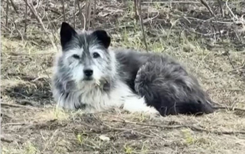 FPA9v8KPY nrIjjP9HBFqikTDXiMJRDHWRQ9rEgLUfLyV jH9g7OLUsy3rOjKvtlBwpGhDacSNoFHnvlQppPGF3wBBAtC0fsTaEZ.jpg