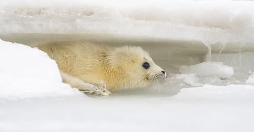 14574592743807320740?url=https%3A%2F%2Fstatic.cdnsb.net%2Fqaynar s3%2F2025 04%2Fb30f95a0a0f8cc89bfa7.jpg