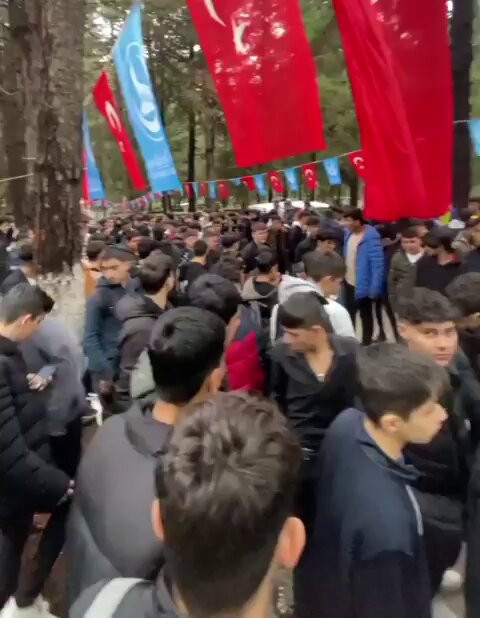 qO3RnubBzWlhUMYu.jpg