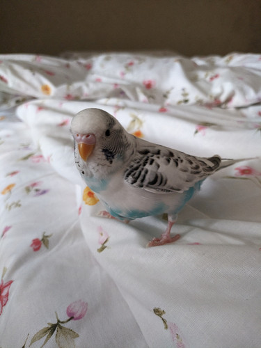 53a40df8 d611 4b3c 9959 b0e1d39233d5 1 all 6865.jpg