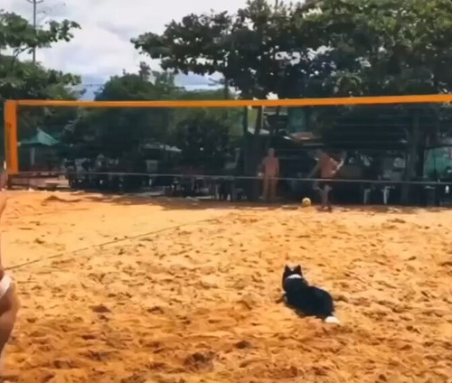 ny54KRLfL gCK6hV.jpg