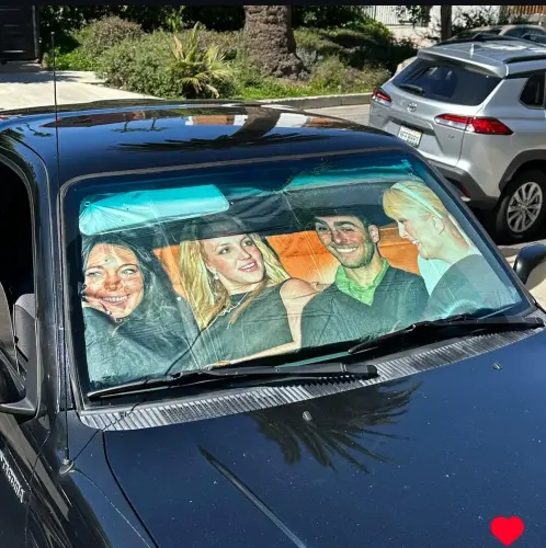 Luigi sunshade.webp